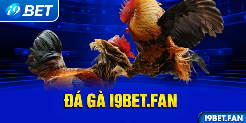 Đá Gà I9BET - Trải Nghiệm Sảnh Cá Cược Hàng Đầu Năm 2024