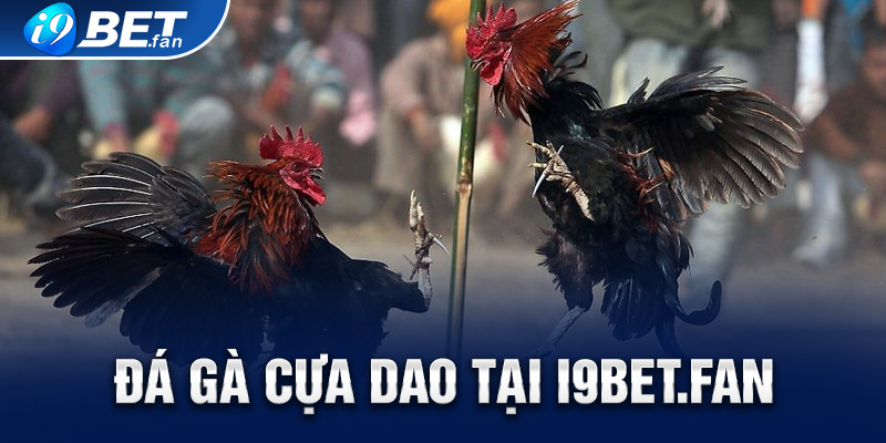 Đá Gà Cựa Dao I9bet – Thư Hùng Chiến Kê Siêu Cấp